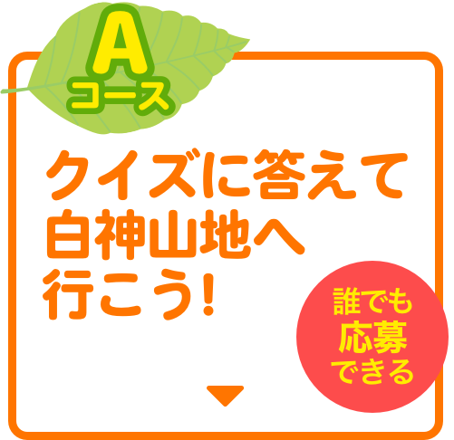 Aコース　クイズに答えて白神山地へ行こう！