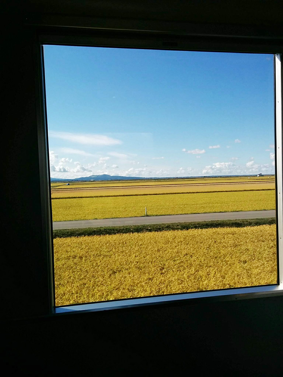 リゾート白神車窓景色 田園