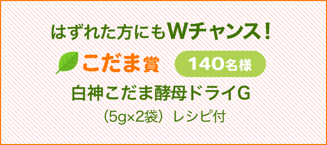 はずれた方にもWチャンス！