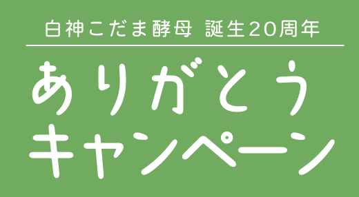 白神こだま酵母 誕生20周年 ありがとうキャンペーン