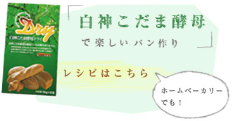 マイベイクフラワー