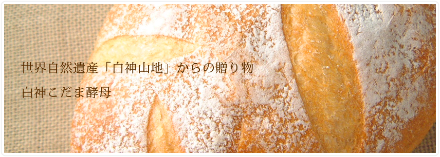 �g�b�v���[�r�[