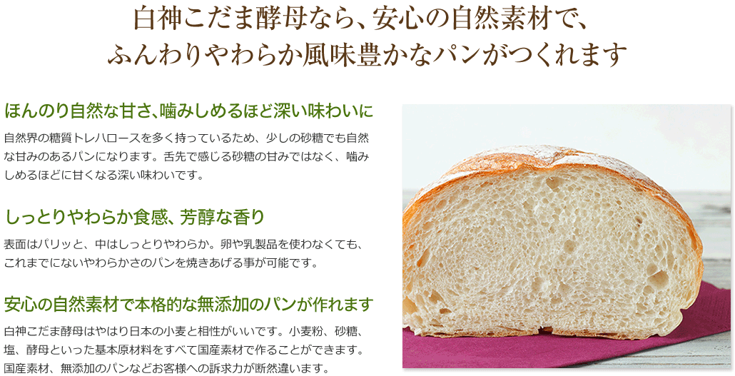 白神こだま酵母なら、安心の自然素材で、ふんわりやわらか風味豊かなパンがつくれます