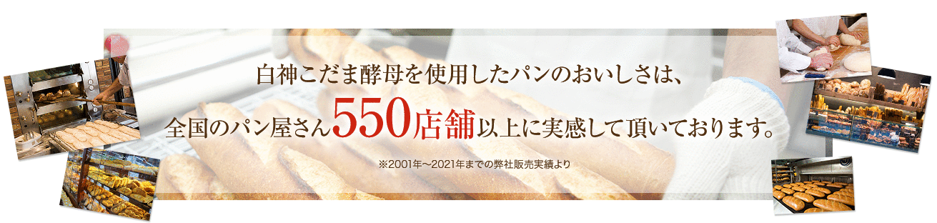 白神こだま酵母を使用したパンのおいしさは、全国のパン屋さん460店舗以上に実感して頂いております。