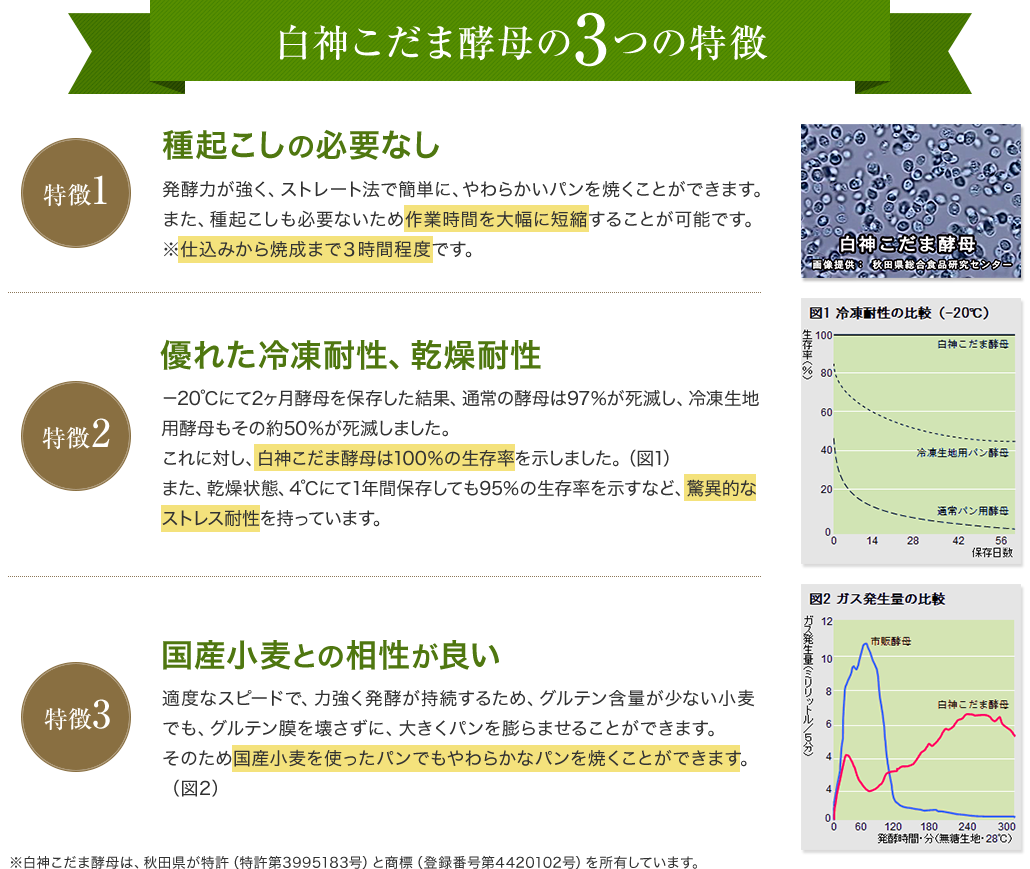 白神こだま酵母の3つの特徴