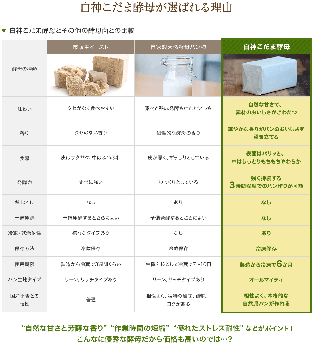 白神こだま酵母が選ばれる理由